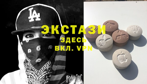 дмт Богородицк