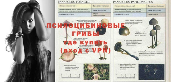 дмт Богородицк