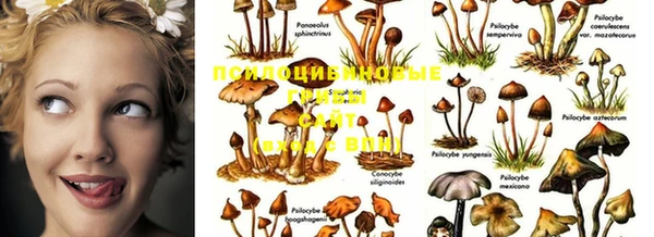 MDMA Дмитриев