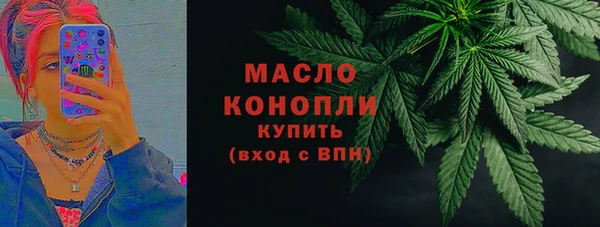 дмт Богородицк